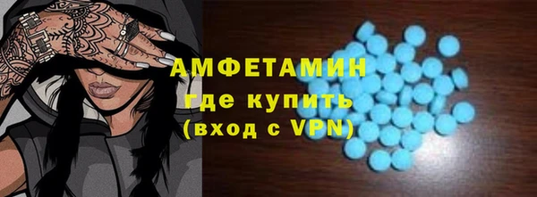 крисы Кулебаки