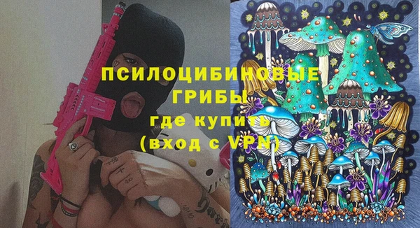 крисы Кулебаки