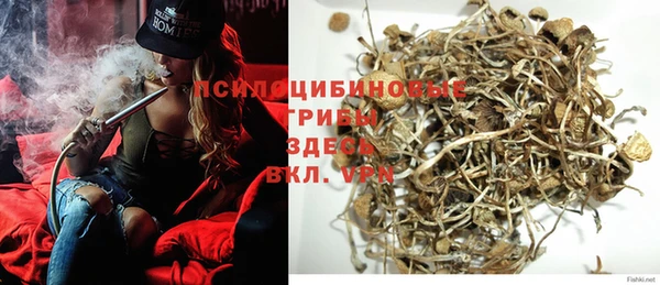 мдпв Куйбышев