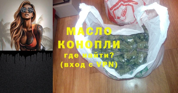 крисы Кулебаки