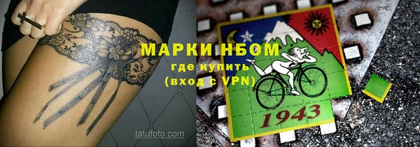 крисы Кулебаки
