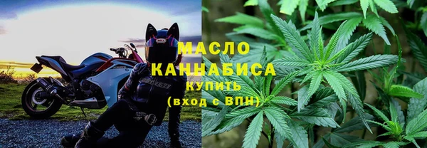 крисы Кулебаки