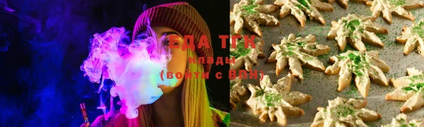 крисы Кулебаки